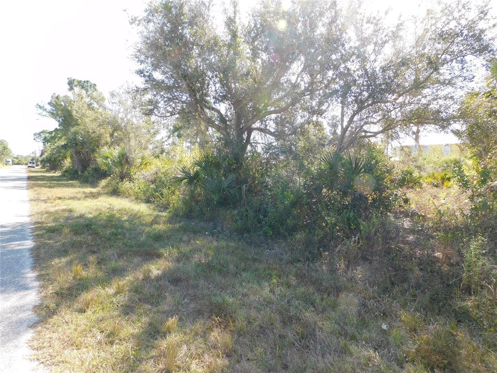 View from West