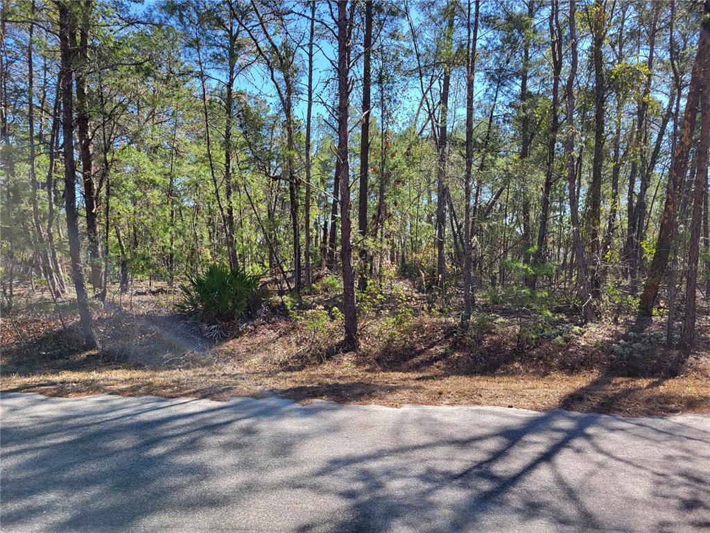 Property for sale at TBD SE FISHER RUN TERRACE LOT 15, OCALA, FL, 34472