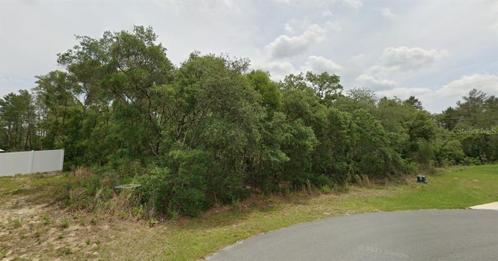 Property for sale at 0 SW 33 AVENUE ROAD Lot 43, OCALA, FL, 34473