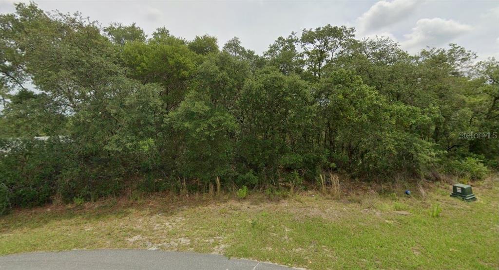 Property for sale at 0 SW 33 AVENUE ROAD Lot 43, OCALA, FL, 34473