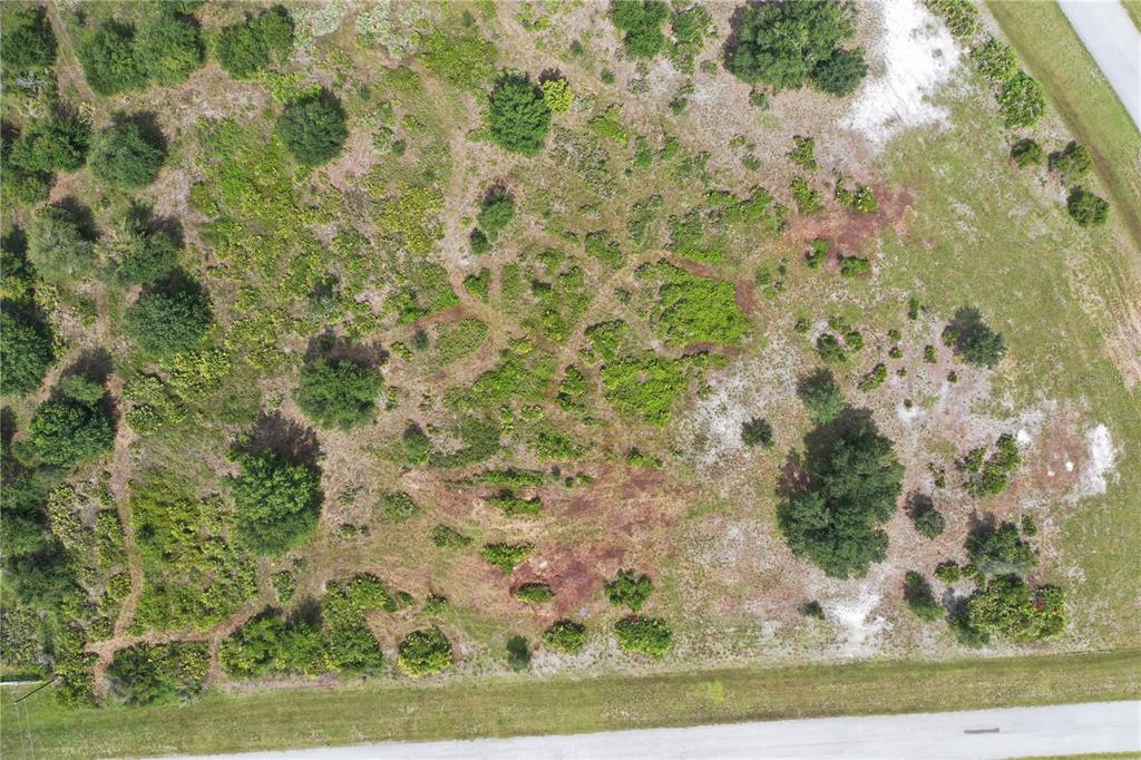 Arial picture of lot with 408th Ct E at bottom of picture