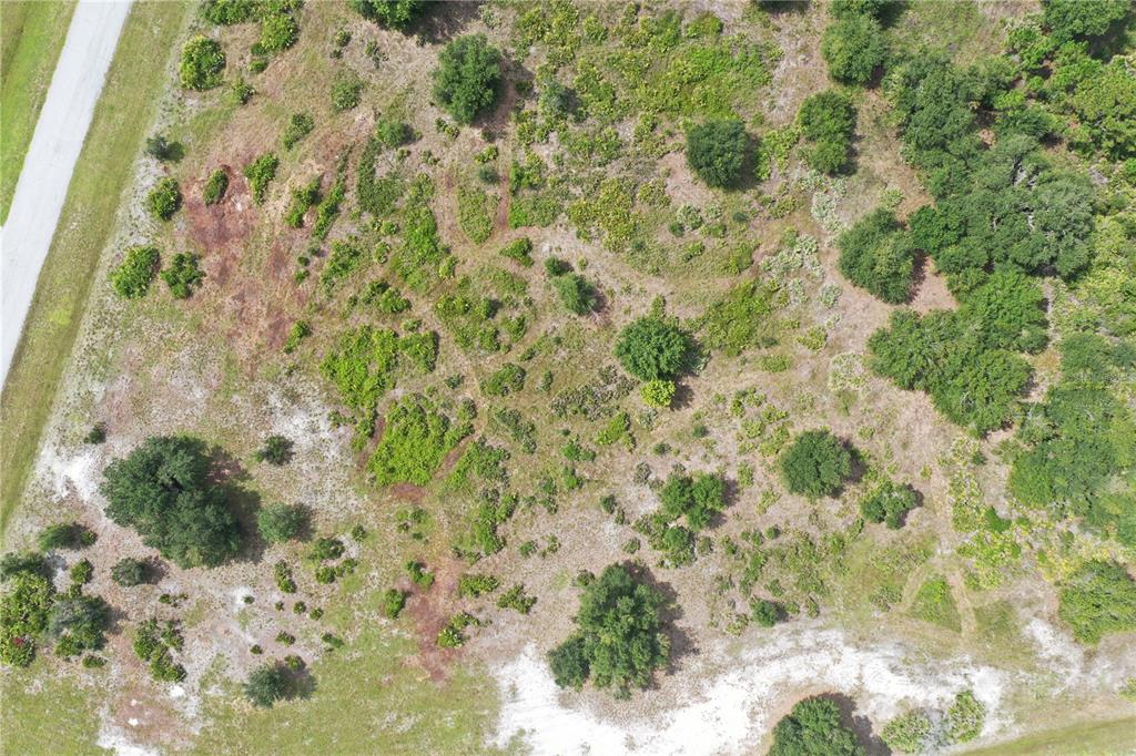 Arial picture of lot with 11th Ave E at bottom of picture