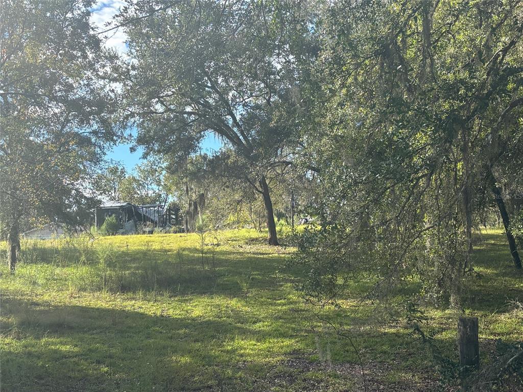 Property for sale at 21030 SE 66TH STREET, MORRISTON, FL, 32668