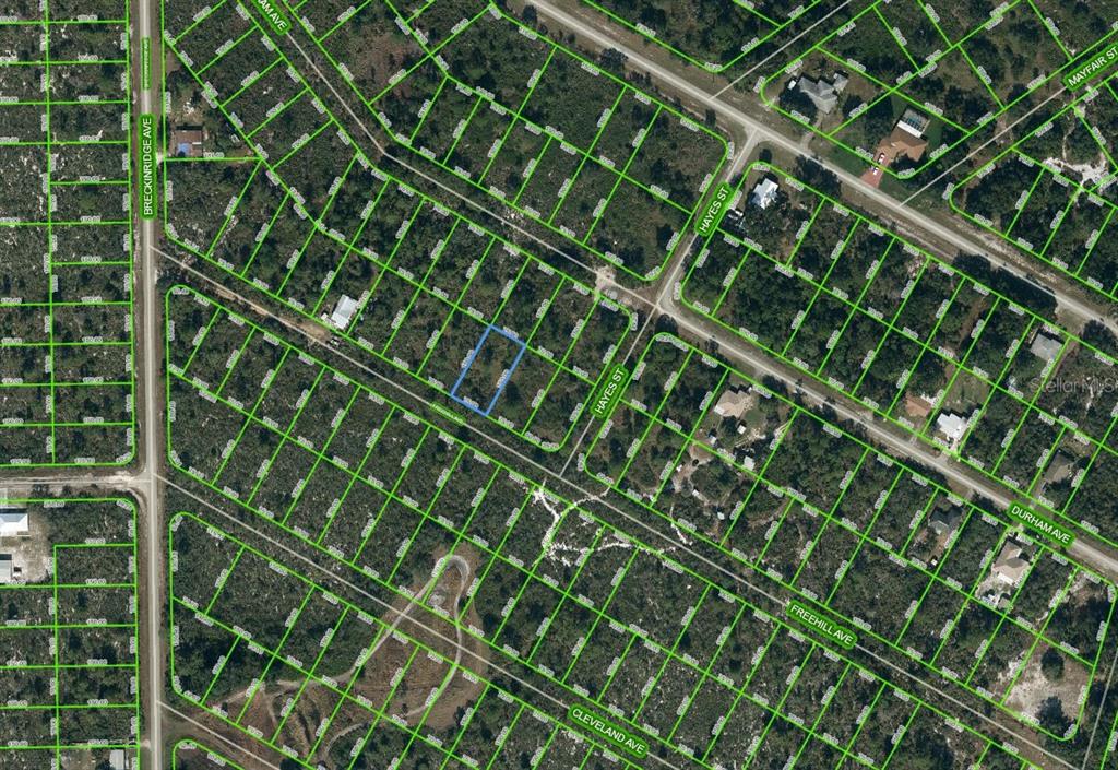 Property for sale at 1034 FREEHILL AVENUE, LAKE PLACID, FL, 33852