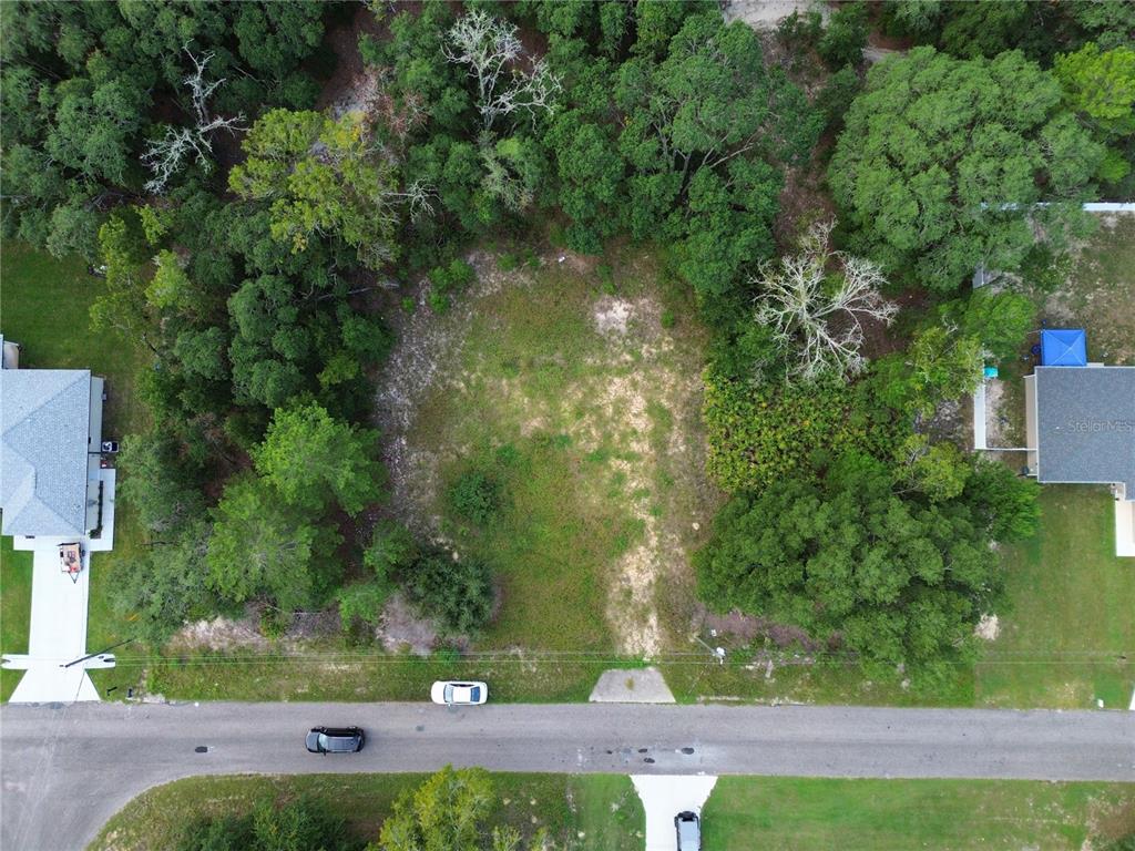 Property for sale at 106 GUAVA PASS, OCKLAWAHA, FL, 32179
