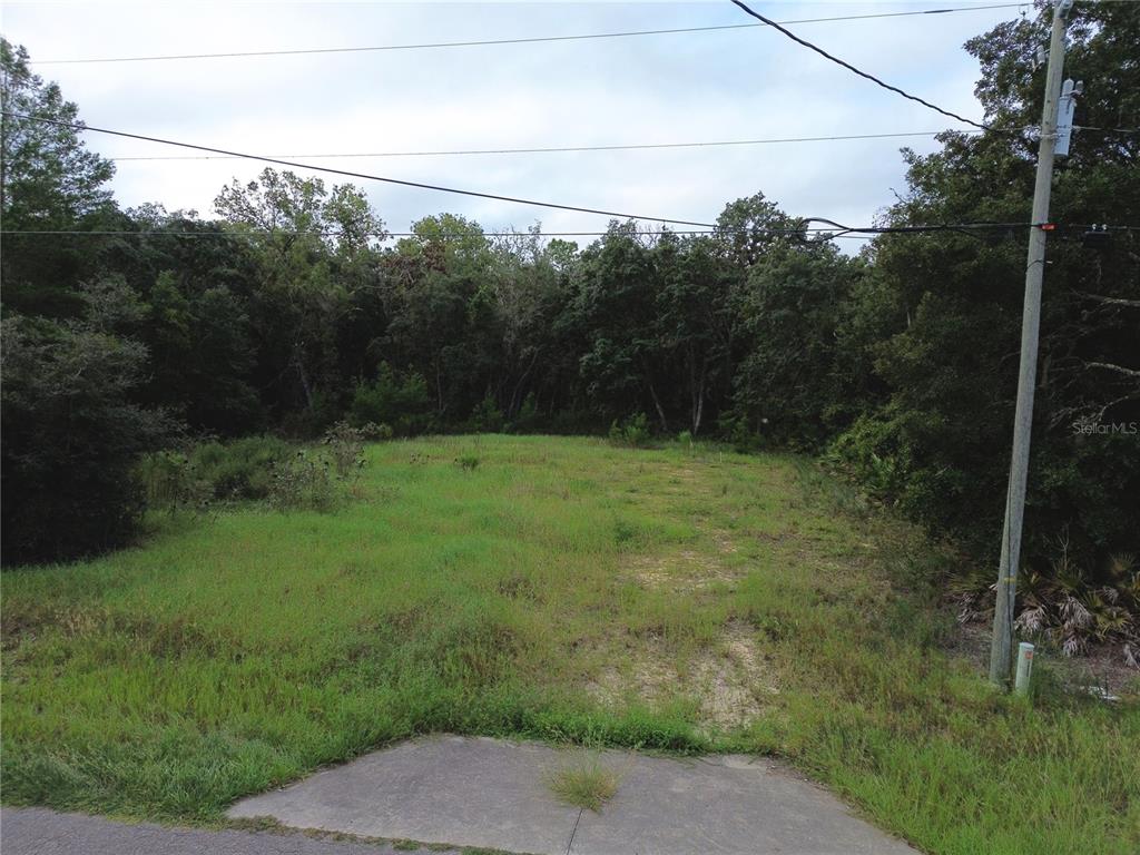 Property for sale at 106 GUAVA PASS, OCKLAWAHA, FL, 32179