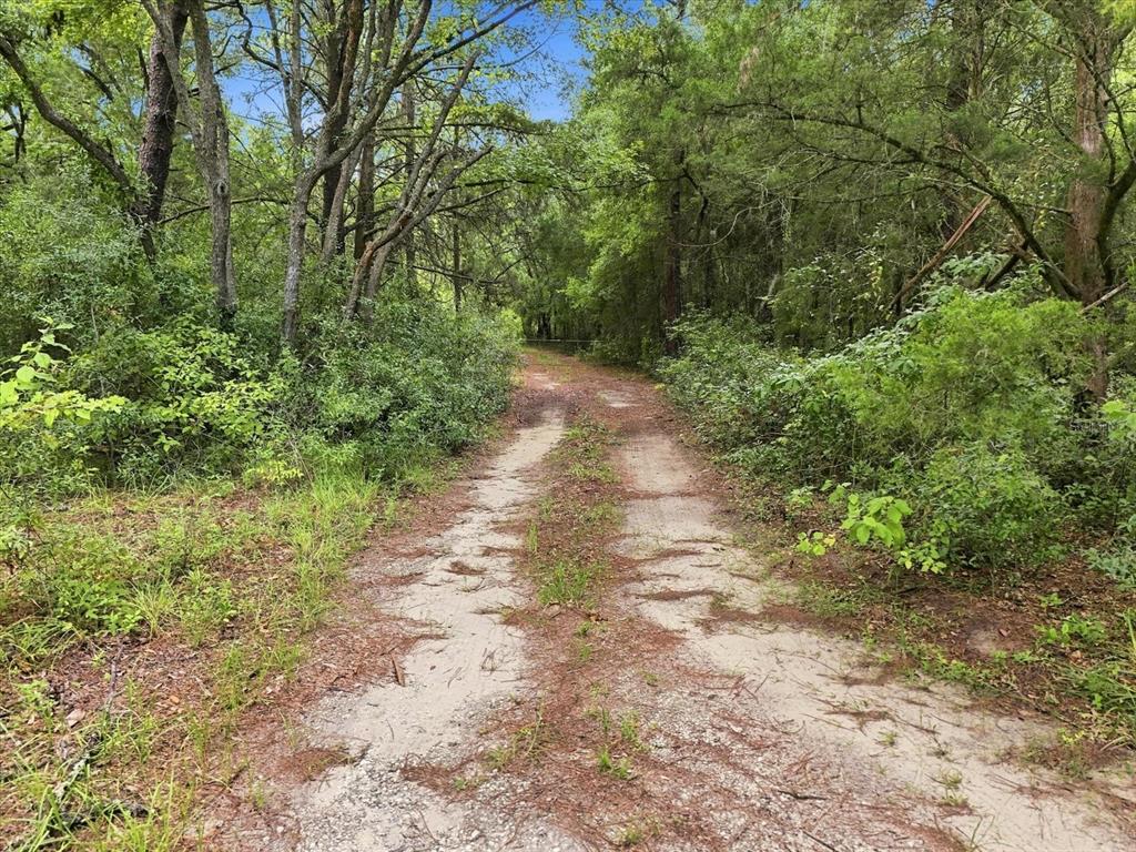 Property for sale at 89 S HAID TERRACE, LECANTO, FL, 34461