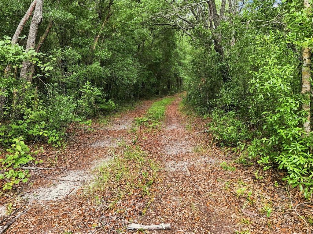 Property for sale at 89 S HAID TERRACE, LECANTO, FL, 34461