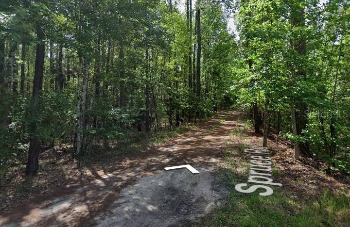 Property for sale at SPRUCE ROAD, INTERLACHEN, FL, 32148