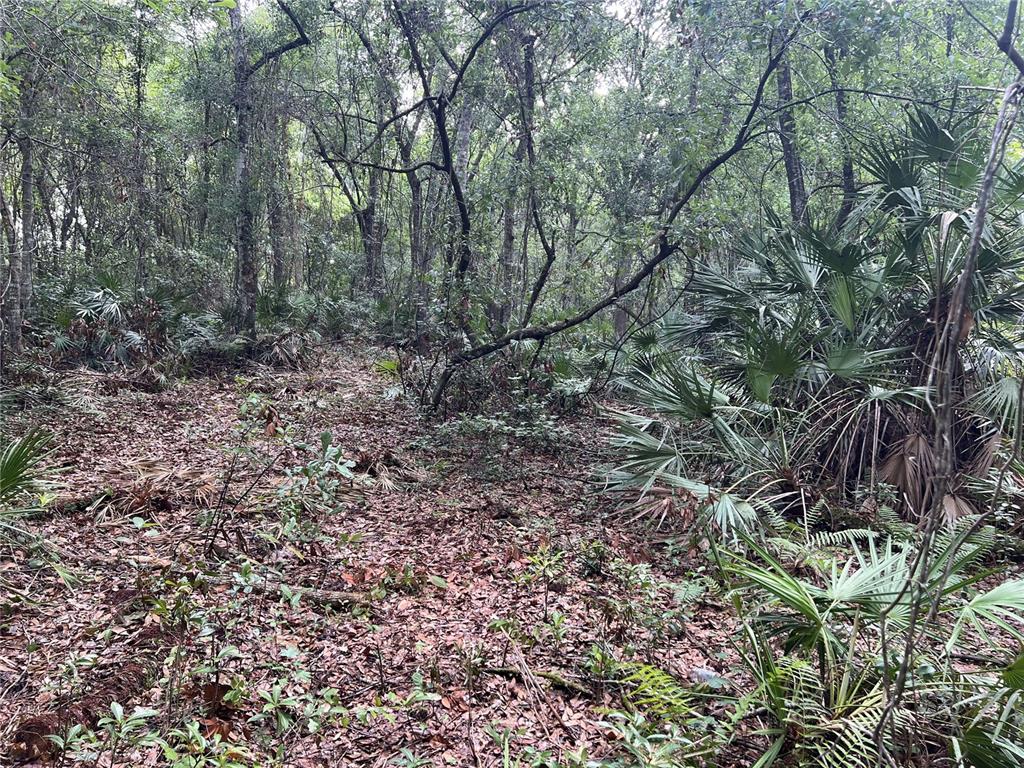 Property for sale at 2322-2328 ROUSE ROAD, ORLANDO, FL, 32817