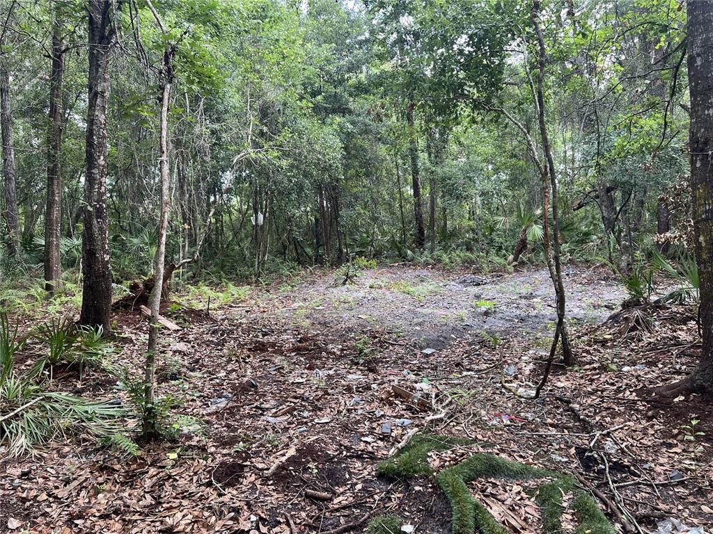 Property for sale at 2322-2328 ROUSE ROAD, ORLANDO, FL, 32817