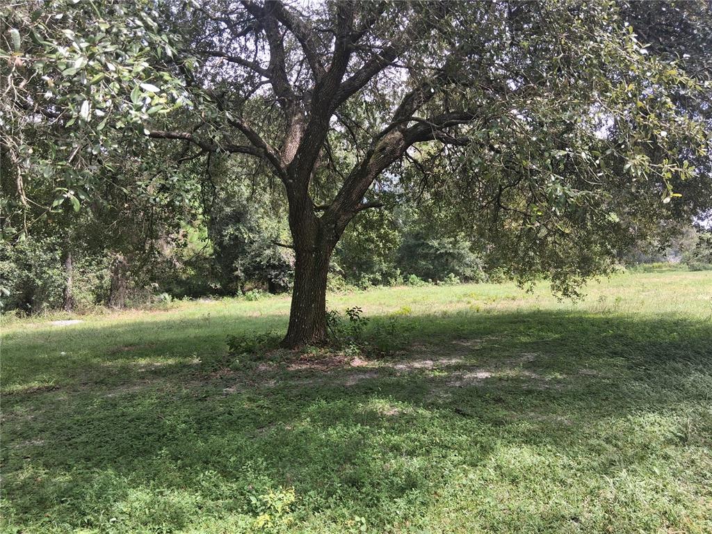 Property for sale at 9278 CR 734, CENTER HILL, FL, 33514