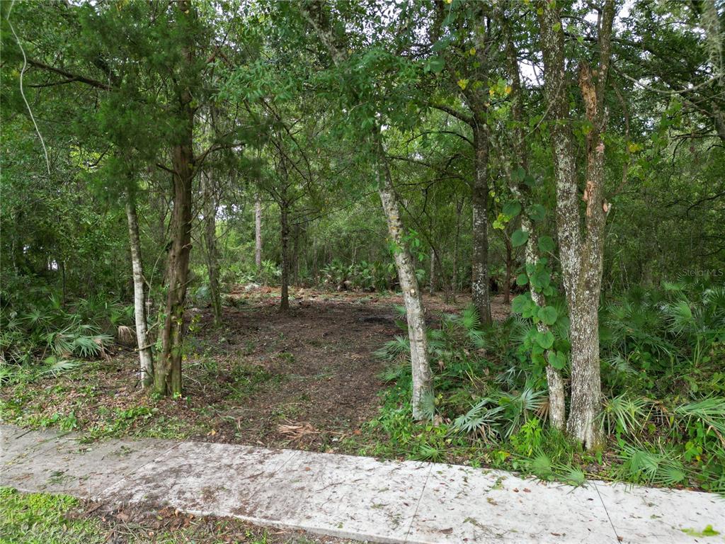 Property for sale at 2039 N 6TH ST, ORLANDO, FL, 32820