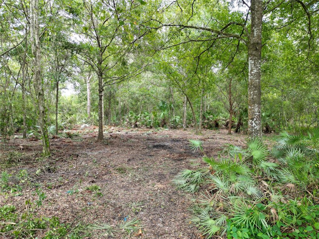 Property for sale at 2039 N 6TH ST, ORLANDO, FL, 32820