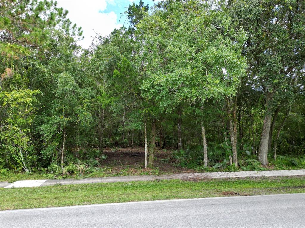 Property for sale at 2039 N 6TH ST, ORLANDO, FL, 32820