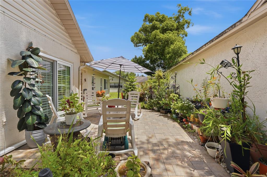 Patio / Entrance