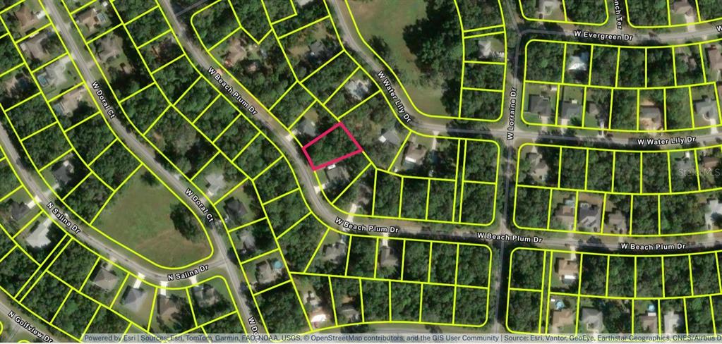 Property for sale at 2031 W BEACH PLUM DRIVE, CITRUS SPRINGS, FL, 34434