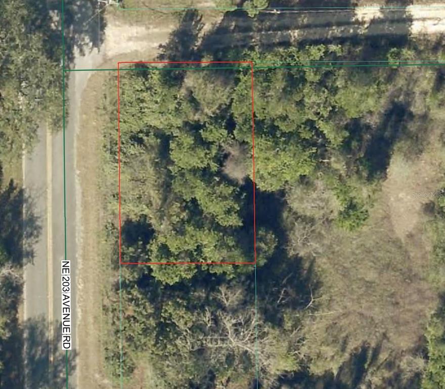 Property for sale at TBD NE 143 LANE, FORT MC COY, FL, 32134