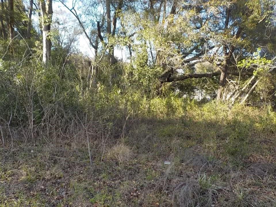 Property for sale at 0 SE 139TH LANE LOT 43, SUMMERFIELD, FL, 34491
