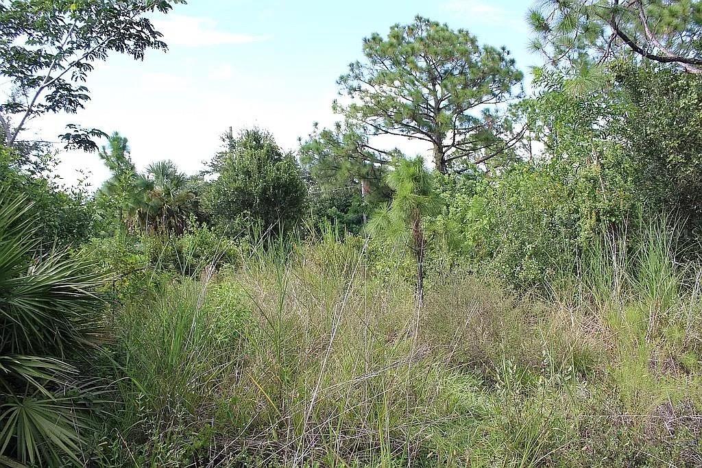 Property for sale at 4114 56TH AVENUE NE, NAPLES, FL, 34120