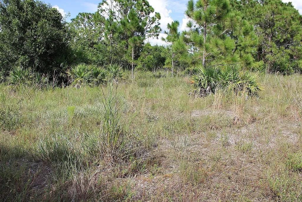 Property for sale at 4114 56TH AVENUE NE, NAPLES, FL, 34120