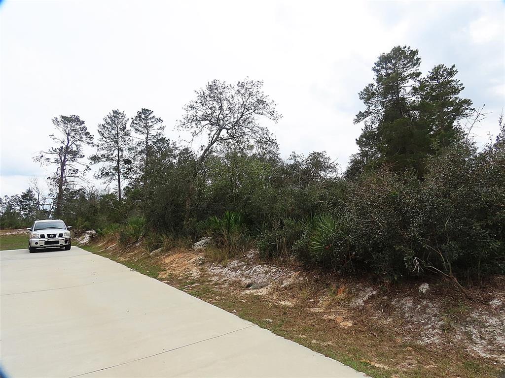 Property for sale at 71 ORCHID COURT, KISSIMMEE, FL, 34759