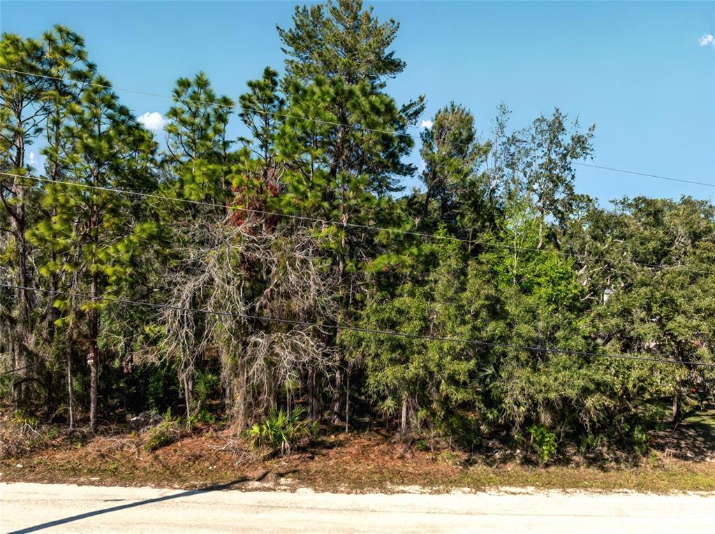 Property for sale at 9003 GLENARM WAY, WEEKI WACHEE, FL, 34613