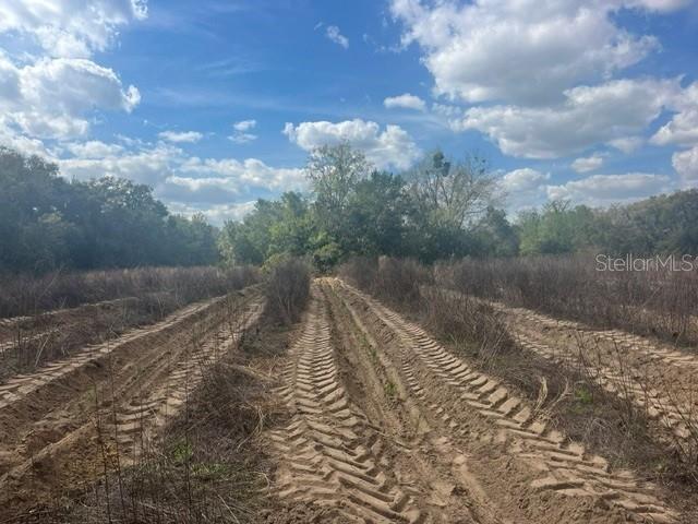 Property for sale at SE 132ND STREET, SUMMERFIELD, FL, 34491