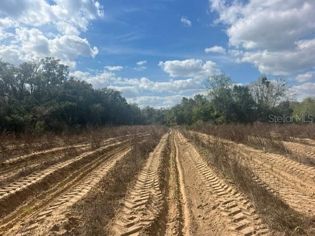 Property for sale at SE 132ND STREET, SUMMERFIELD, FL, 34491