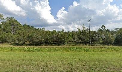 Property for sale at 20498 E COLONIAL DRIVE, CHRISTMAS, FL, 32709