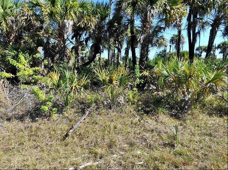 Property for sale at HIAWATHA TERRACE, NORTH PORT, FL, 34288
