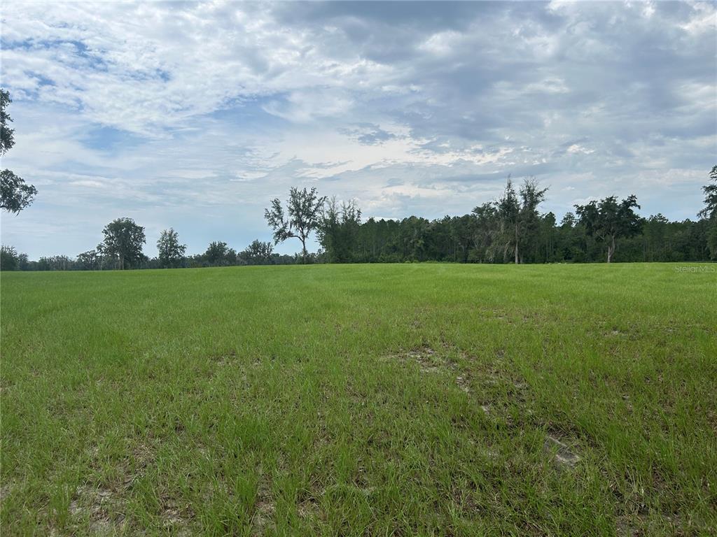 Property for sale at TBD N US HWY 27, MORRISTON, FL, 32668