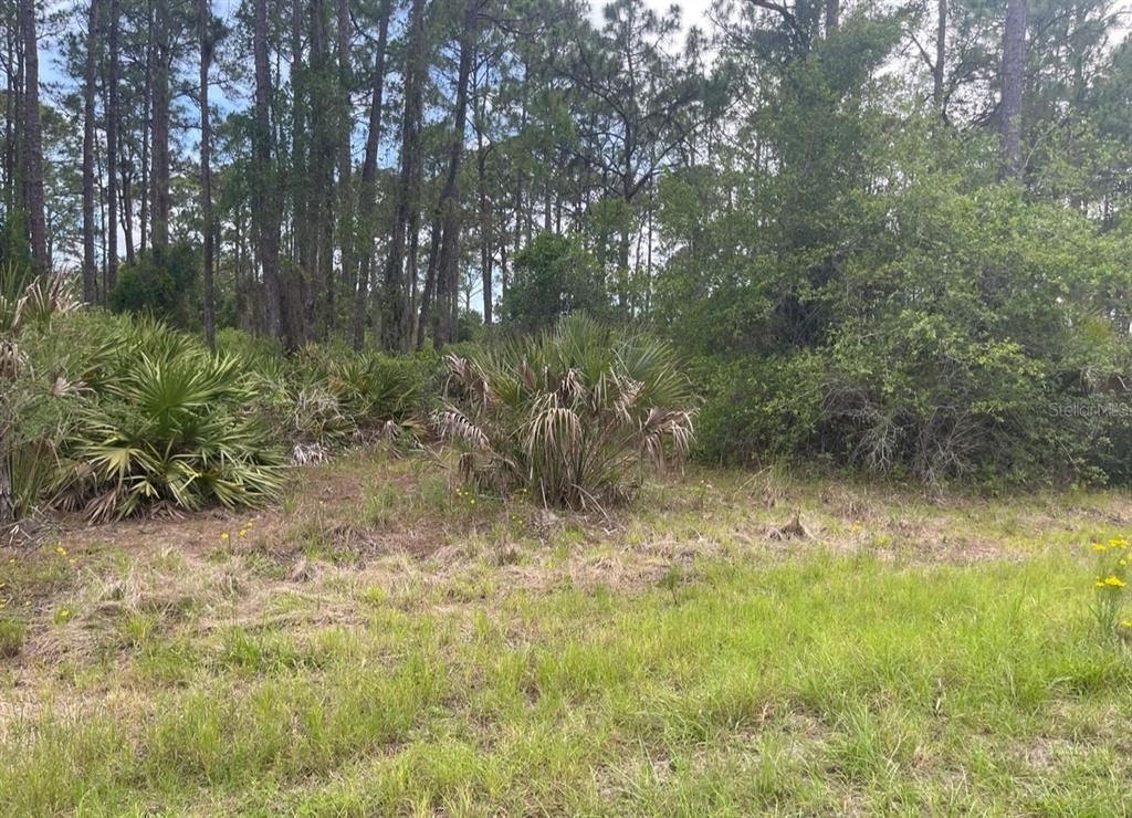 Property for sale at 0954126609 AVERETTE AVENUE, NORTH PORT, FL, 34291