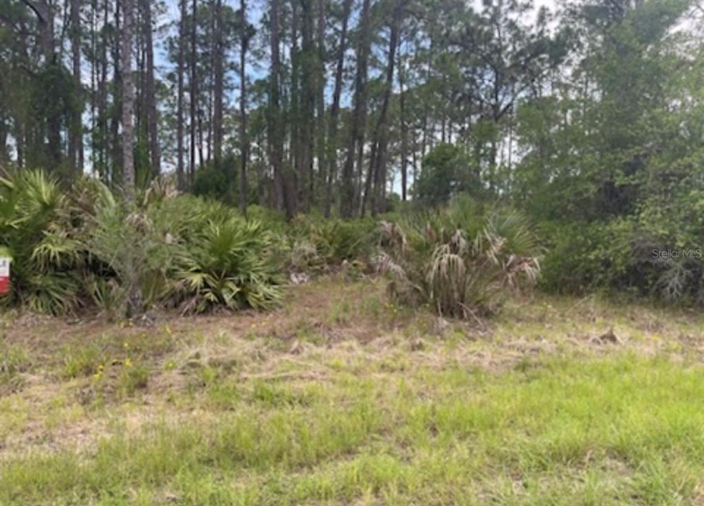 Property for sale at 0954126609 AVERETTE AVENUE, NORTH PORT, FL, 34291