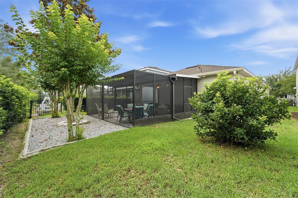BACK YARD
