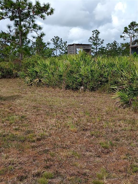 Property for sale at HOLOPAW GROVES ROAD, ST CLOUD, FL, 34771