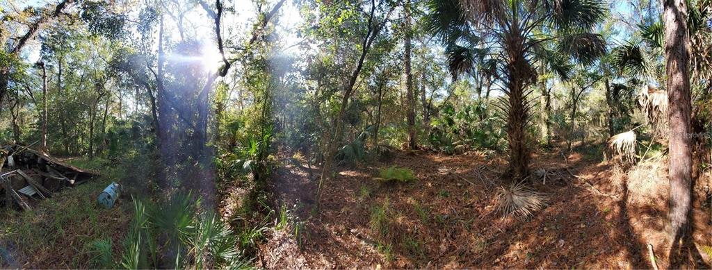 Property for sale at 8738 LINDY LANE, NEW PORT RICHEY, FL, 34655