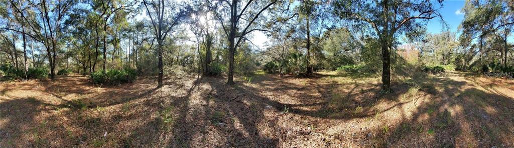 Property for sale at 8738 LINDY LANE, NEW PORT RICHEY, FL, 34655