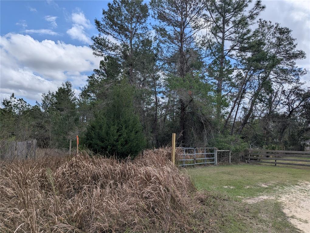 Property for sale at 0 GANNET AVENUE, WEEKI WACHEE, FL, 34613