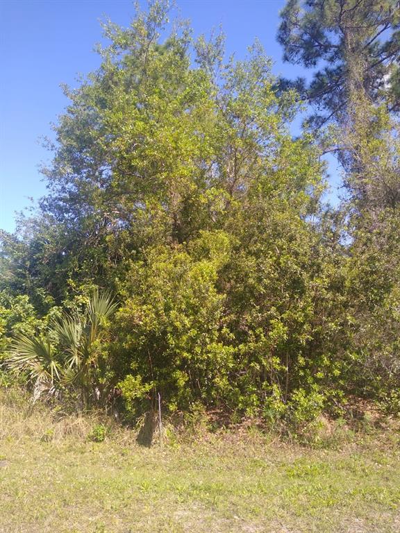 Property for sale at 306 MCDILL DRIVE, PORT CHARLOTTE, FL, 33953