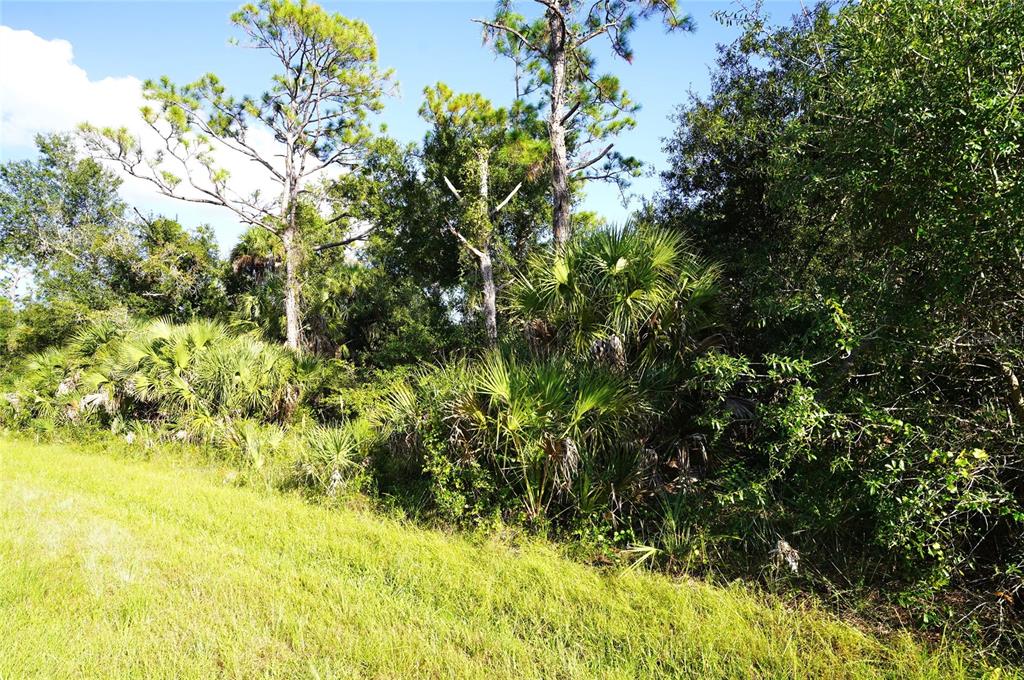 Property for sale at 1294 BIRCH TERRACE, PORT CHARLOTTE, FL, 33953