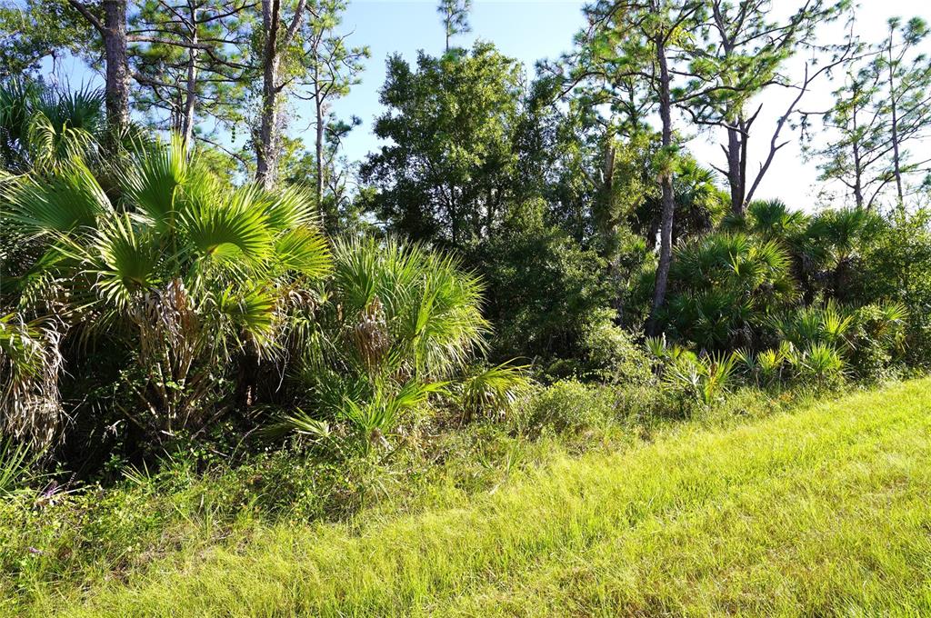 Property for sale at 1294 BIRCH TERRACE, PORT CHARLOTTE, FL, 33953