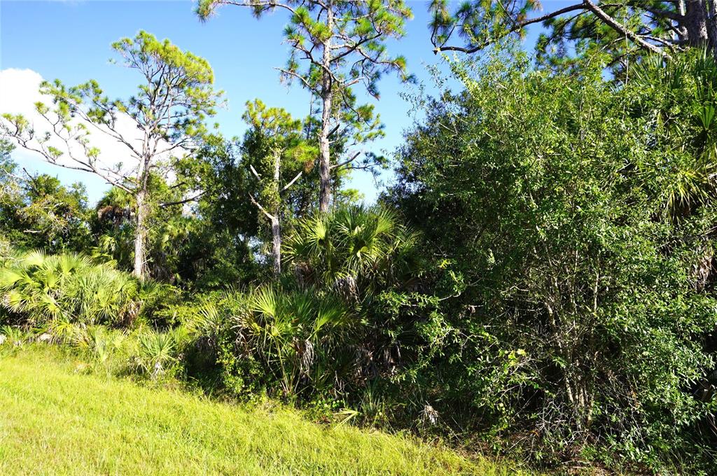 Property for sale at 1294 BIRCH TERRACE, PORT CHARLOTTE, FL, 33953