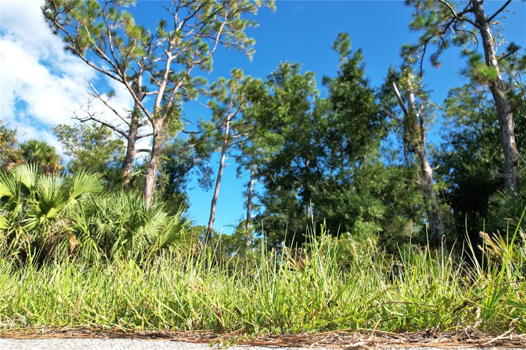 Property for sale at 1294 BIRCH TERRACE, PORT CHARLOTTE, FL, 33953