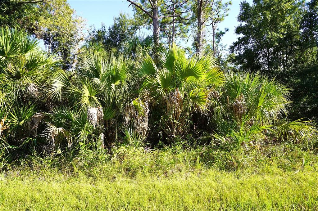 Property for sale at 1294 BIRCH TERRACE, PORT CHARLOTTE, FL, 33953