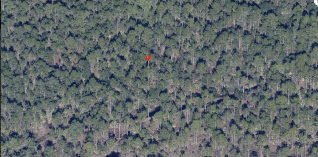 Property for sale at HOLOPAW GROVES ROAD, ST CLOUD, FL, 34773