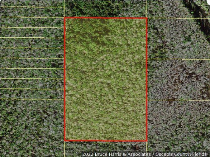 Property for sale at HOLOPAW GROVES ROAD, ST CLOUD, FL, 34773