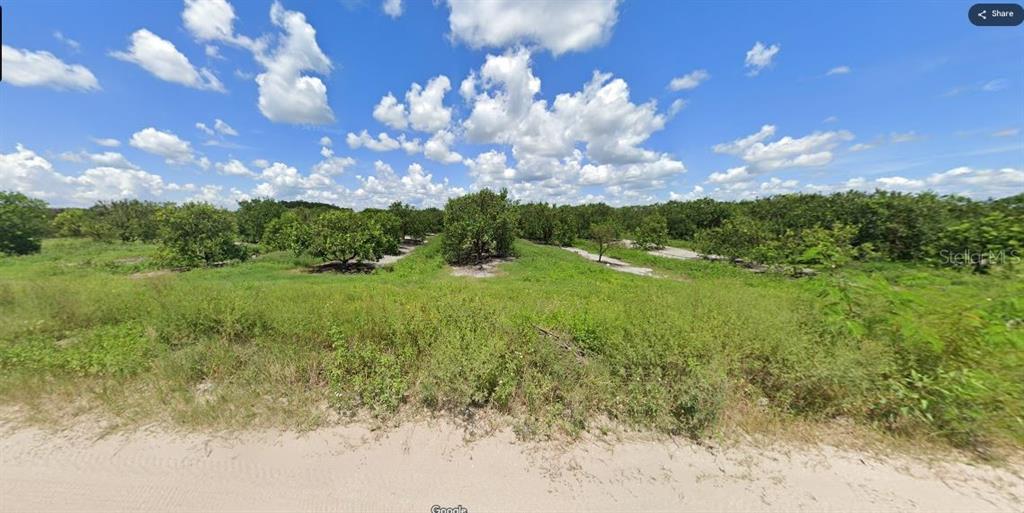 Property for sale at HOLOPAW GROVES ROAD, ST CLOUD, FL, 34773