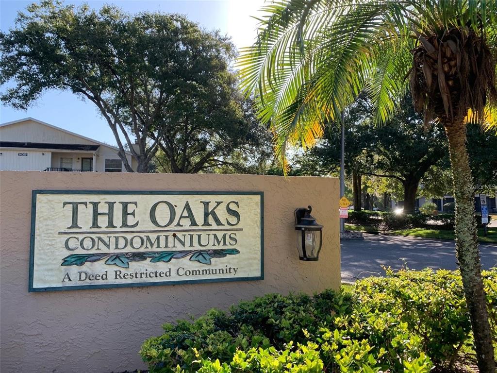 Property for sale at 14225 SHADOW MOSS LANE UNIT 102, TAMPA, FL, 33613