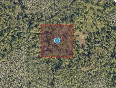 Property for sale at SALYERS ROAD, CLERMONT, FL, 34714